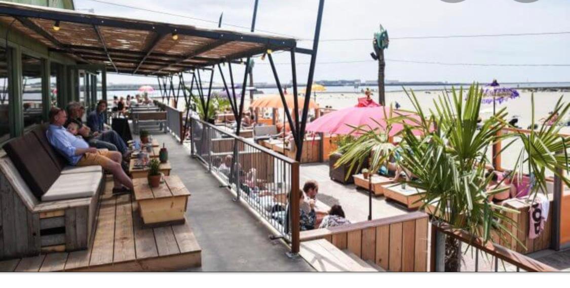 Beautiful House At Beach, Sea And Dunes Wijk aan Zee Exterior photo